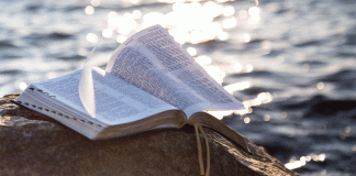 How to build (and how to dilute) a biblical worldview biblical worldview