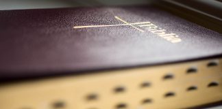 The immortal Bible bible