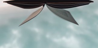 Escaping from a radical family: Tara Westover’s story Tara Westover