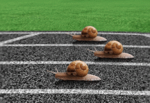 Snail racing: The strange social dynamics dictated by social networks social networks