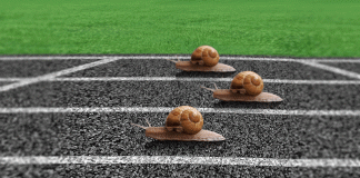 Snail racing: The strange social dynamics dictated by social networks social networks