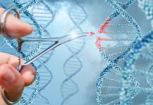 It wasn’t me! It was Eve, the snake or the genes! genes and behaviour