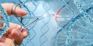 It wasn’t me! It was Eve, the snake or the genes! genes and behaviour