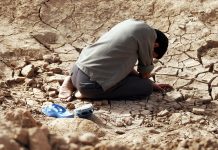 I shall not hate i shall not hate