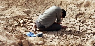 I shall not hate i shall not hate