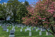 The end of death death