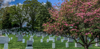 The end of death death