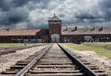 The Holocaust and the maths of an absurd history holocaust