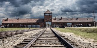 The Holocaust and the maths of an absurd history holocaust