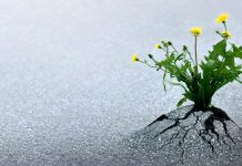 What the “miracle of the resurrection” means to Christians resurrection