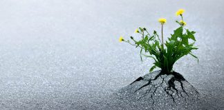 What the “miracle of the resurrection” means to Christians resurrection