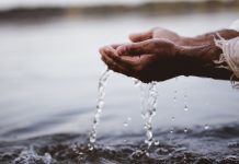 The Anabaptist creed: The price of the Reform carried to the end The Anabaptist creed