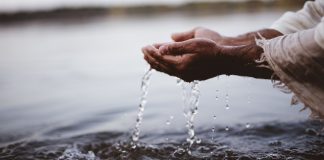 The Anabaptist creed: The price of the Reform carried to the end The Anabaptist creed