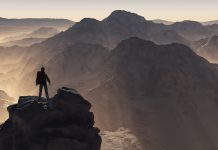 The source of motivation motivation