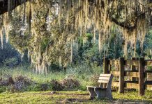 “Facing Suffering: Courage and Hope in a challenging world” | Book review Roberto Badenas