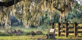 “Facing Suffering: Courage and Hope in a challenging world” | Book review Roberto Badenas