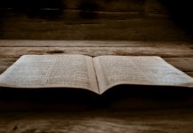 Jesus’s atypical vocabulary Jesus's speech