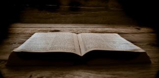 Jesus’s atypical vocabulary Jesus's speech