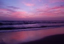 “My Utmost for His Highest” | Book review My Utmost for His Highest