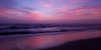 “My Utmost for His Highest” | Book review My Utmost for His Highest