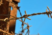 The courage that makes us human courage