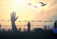 A blood-red sunrise: martyrs and the instinct of persecution persecution