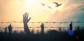 A blood-red sunrise: martyrs and the instinct of persecution persecution