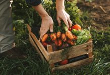 Everything natural is good. True or false? natural is good