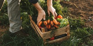 Everything natural is good. True or false? natural is good