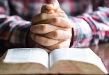 Stubborn faith faith