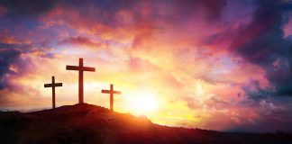 “The Cost of Discipleship” | Book review The Cost of Discipleship