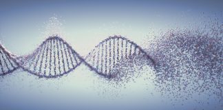 Genetic inheritance cannot be altered. True or false? Genetic inheritance