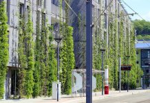 The city that decided to be green 20 years earlier than the rest of Europe climate emergency