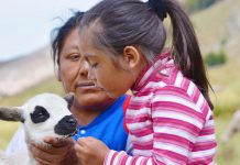 “The Most Important Job in the World” | Book review the most important job in the world