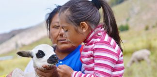 “The Most Important Job in the World” | Book review the most important job in the world