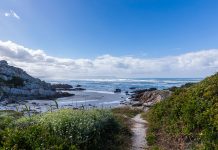 Beholding beauty beauty