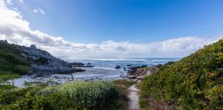 Beholding beauty beauty