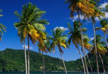 25 million reasons human trafficking