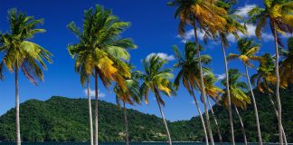 25 million reasons human trafficking