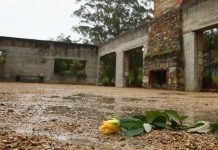 Footsteps of a murderer: Lessons from the Port Arthur Massacre port arthur