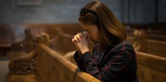 The school of happiness steve dickman