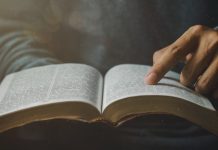 Old Testament and New Testament | The unity of Scripture new testament