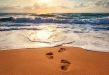 The noble torment of forgiveness forgiveness