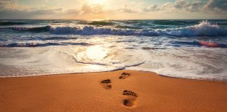 The noble torment of forgiveness forgiveness