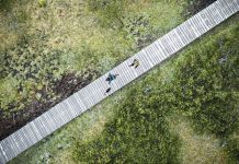 There is no such thing as absolute truth or absolute values. True or false? moral relativism