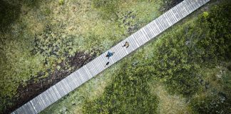 There is no such thing as absolute truth or absolute values. True or false? moral relativism