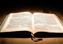 A Bible for everyone Bible