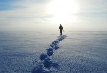 The meaning you find on your way back meaning of life