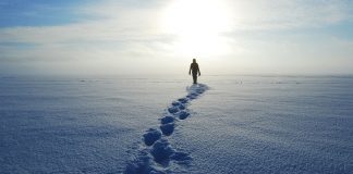 The meaning you find on your way back meaning of life