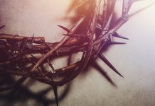 The greatest love sacrifice